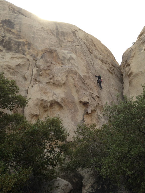 Tammy on Piggle Pugg (Category:  Rock Climbing)