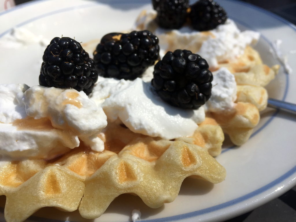 Waffles with fresh whipped cream and blackberries (Category:  Rock Climbing)