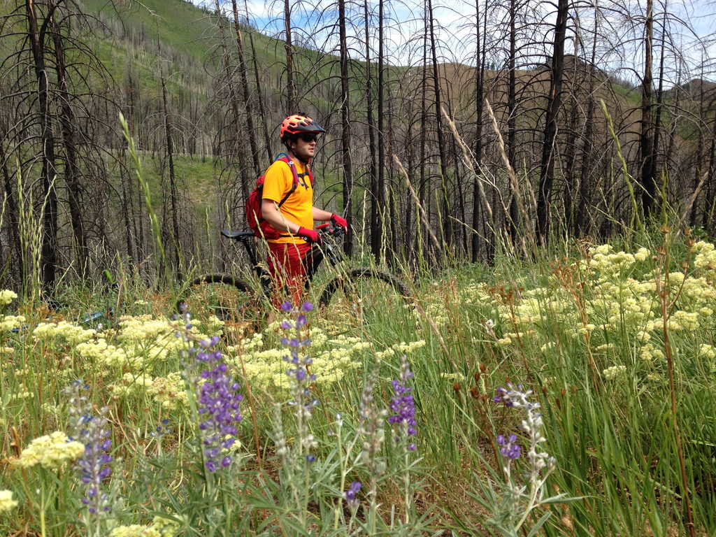 Biking the Greenhorn-Imperial Loop (Category:  Rock Climbing)