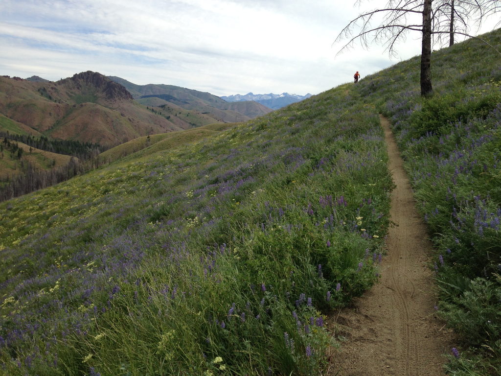 Biking the Greenhorn-Imperial Loop (Category:  Rock Climbing)