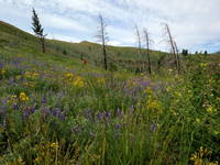 Biking the Greenhorn-Imperial Loop (Category:  Rock Climbing)