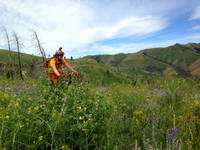 Biking the Greenhorn-Imperial Loop (Category:  Rock Climbing)