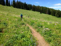 Jay and Adam biking at Grand Targhee (Category:  Rock Climbing)