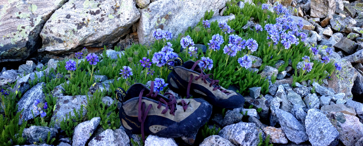 My shoes in their happy place (Category:  Rock Climbing)