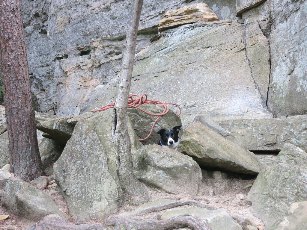 Izzy (Category:  Rock Climbing)