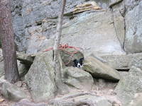 Izzy (Category:  Rock Climbing)