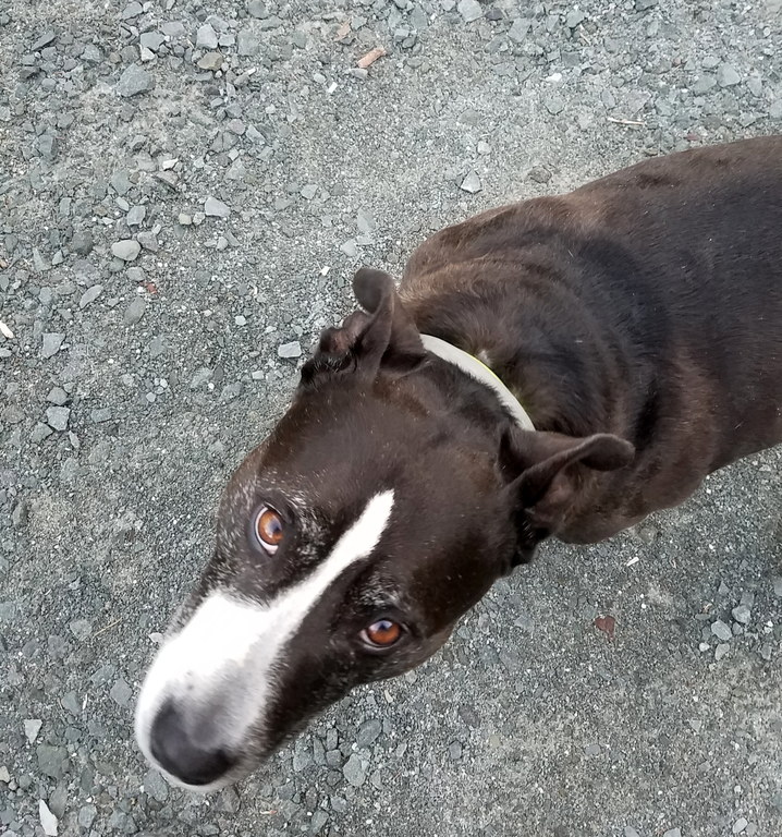 Buddy! (Category:  Rock Climbing)