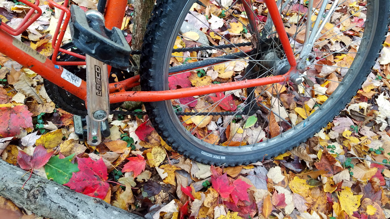 Fall colors. Don't fall bike. (Category:  Biking)