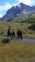 Rangers on horseback (Category:  Backpacking)