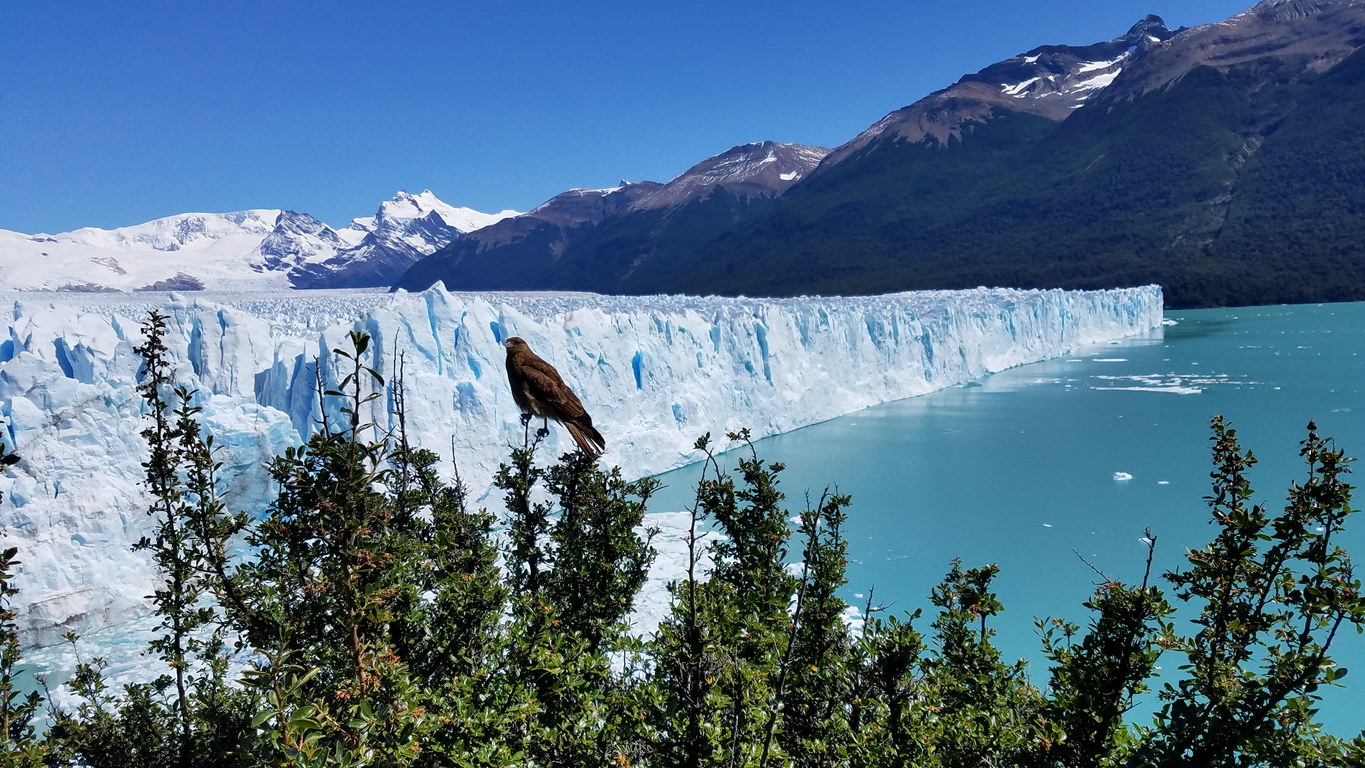 Perito Moreno Glacier (Category:  Backpacking)