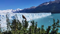 Perito Moreno Glacier (Category:  Backpacking)