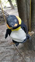 Penguin swing (Category:  Backpacking)