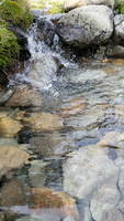 Non-silty water from a small creek upstream of camp Toro (Category:  Backpacking)