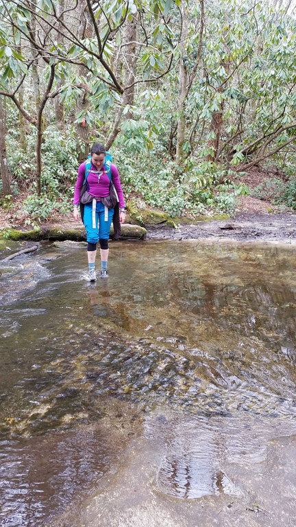 Might as well just walk through the stream, then put on dry shoes and socks at the car (Category:  Rock Climbing)