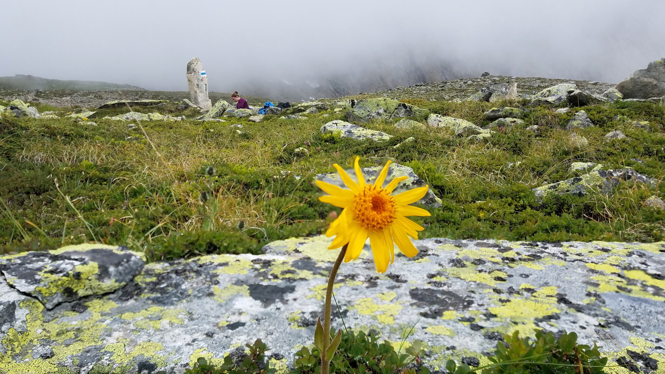 Resting (Category:  Climbing)