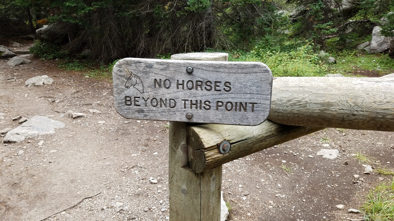 I still want to know how they train the horses to read these signs (Category:  Climbing)