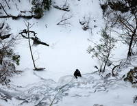 I definitely wanted to climb it because of the name. (Category:  Ice Climbing)