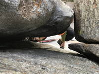 Holding a cam while picking up your foot is a legit offwidth move (Category:  Climbing)