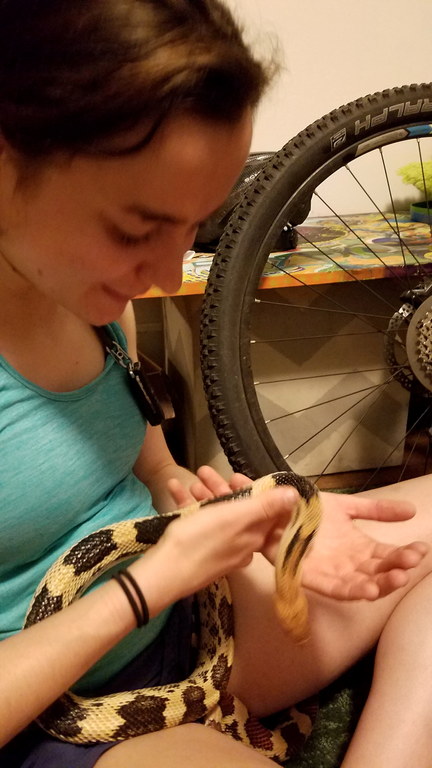 Camille does like the snakes, even if they delayed our climbing trip. (Category:  Climbing)