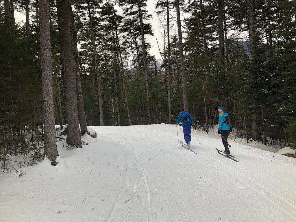 XC Skiing (Category:  Ice Climbing, Skiing)