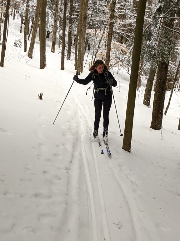 Dodge that tree! (Category:  Skiing)