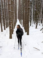 Tree grid (Category:  Skiing)