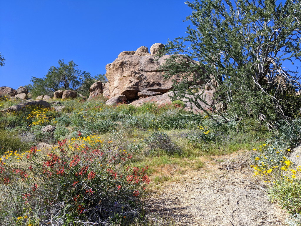 Biking Brown's Ranch with Libby (Category:  Biking, Climbing)