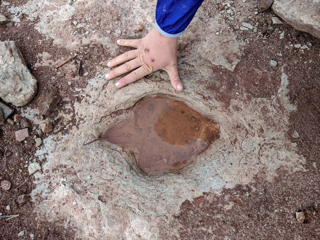 Dinosaur footprint (Category:  Biking, Climbing)