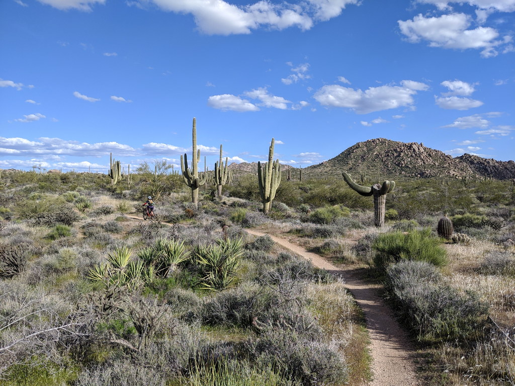 Biking Brown's Ranch with Libby (Category:  Biking, Climbing)