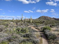 Biking Brown's Ranch with Libby (Category:  Biking, Climbing)