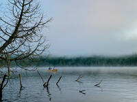 Early morning paddling in the mist (Category:  Paddling, Climbing)