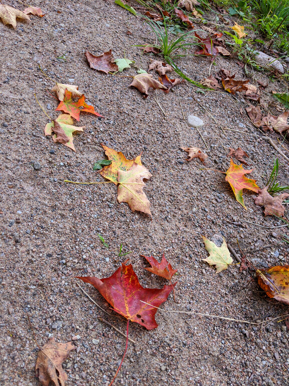 First signs of fall (Category:  Paddling, Climbing, Biking)