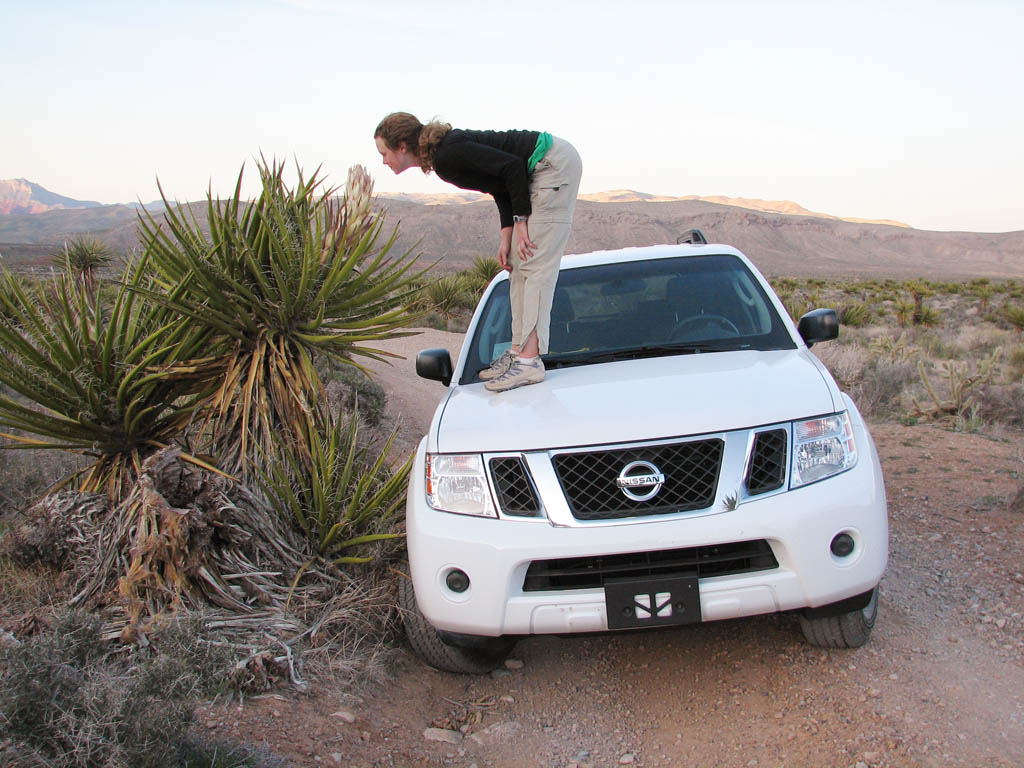 Katie examining a yucca blossom. (Category:  Photography)