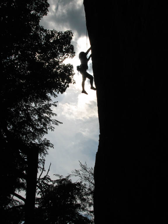 Porscha climbing AWOL. (Category:  Photography)