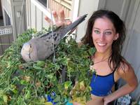 Jen and the very placid dove that nested in her hanging plant. (Category:  Photography)