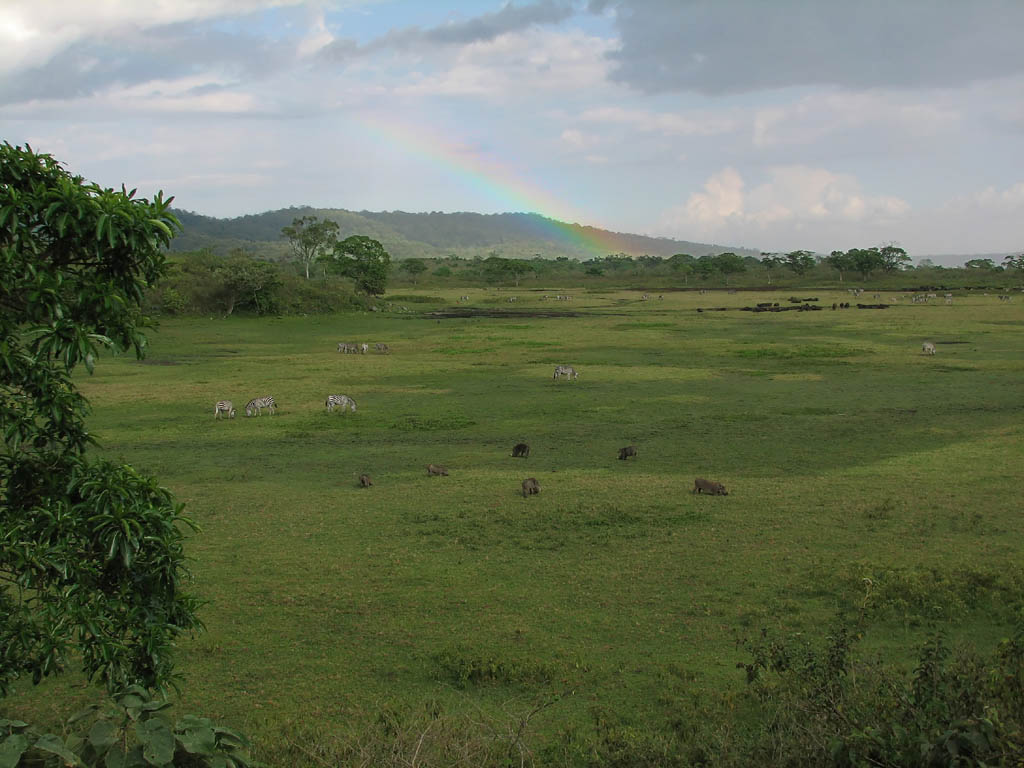 Little Savannah with a beautiful rainbow.  One of the most amazing things I've ever seen in my life. (Category:  Photography)