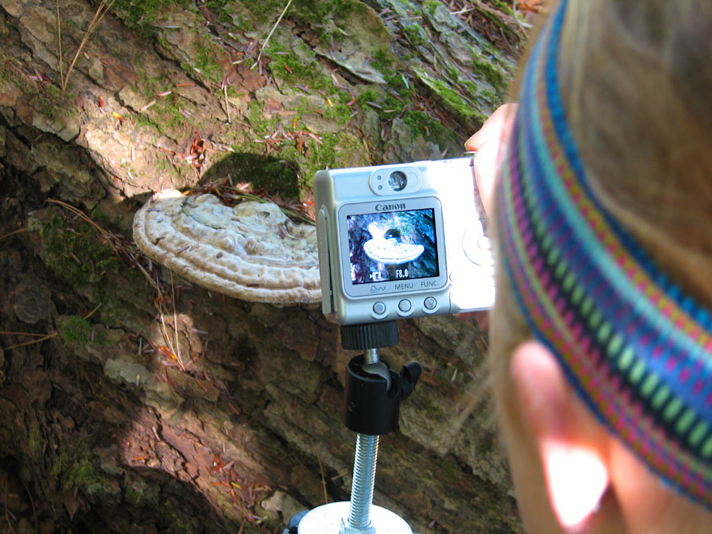 One of these days I'll get a version of this picture that I like. (Category:  Backpacking)