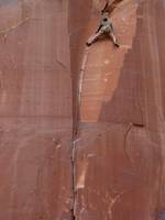 Guy leading some 5.9 climb. (Category:  Rock Climbing)
