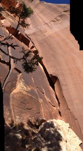 Mr. Peanut (Category:  Rock Climbing)