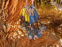 Eight #2s; Seven #3s (Category:  Rock Climbing)