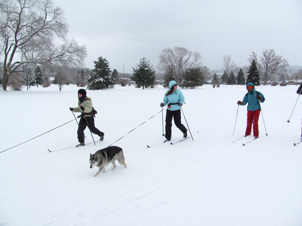 Skijoring! (Category:  Skiing)