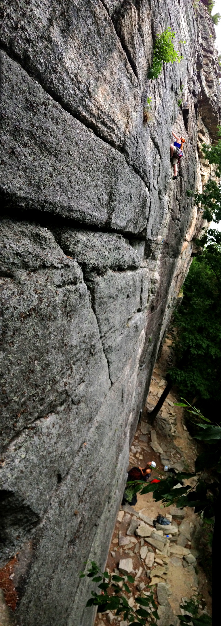 Nicole leading Something Interesting (Category:  Rock Climbing)
